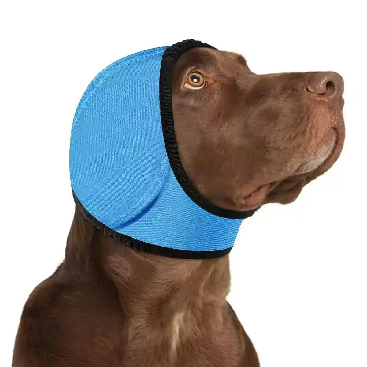 Water-Resistant Dog Ear Wrap Hoodie - Ear Protection for Bathing, Swimming & Grooming, Noise Reduction for Fireworks, Grey